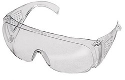 Zaščitna očala FUNCTION Standard, prozorna