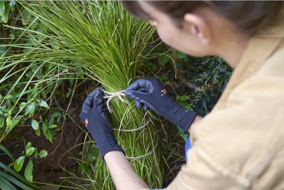 Preprečite škodo zaradi zmrzali s praktičnimi nasveti